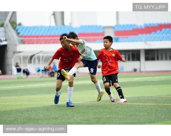 足球青训中的营养与体能管理，如何保证青少年球员的最佳状态